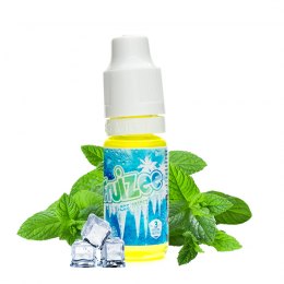 Icee Mint 10ml - Fruizee