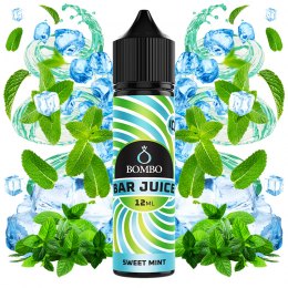 Aroma Sweet Mint Ice 12ml (Longfill) - Bombo Bar Juice