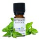 Aroma Peppermint 10ml - Atmos Lab