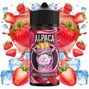 Aroma Sweet Strawberry Ice 20ml/120 (Longfill) - Alpaca