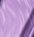 Dream Purple